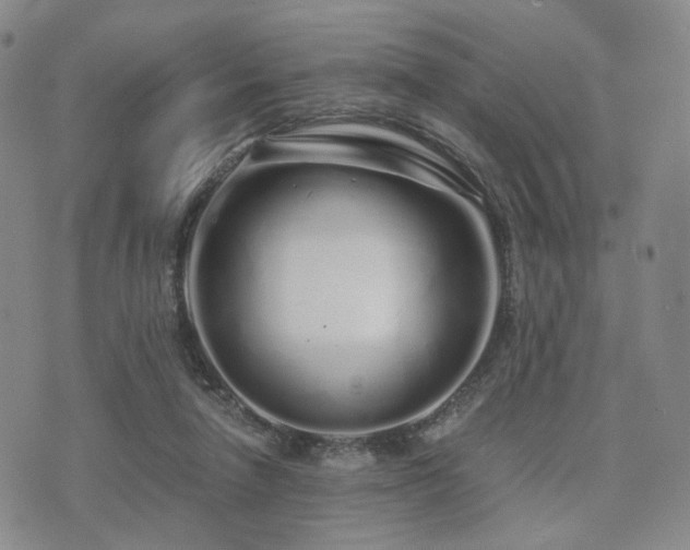 X0000073700258200608031222