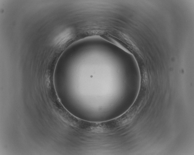 X0000073700259200608031222