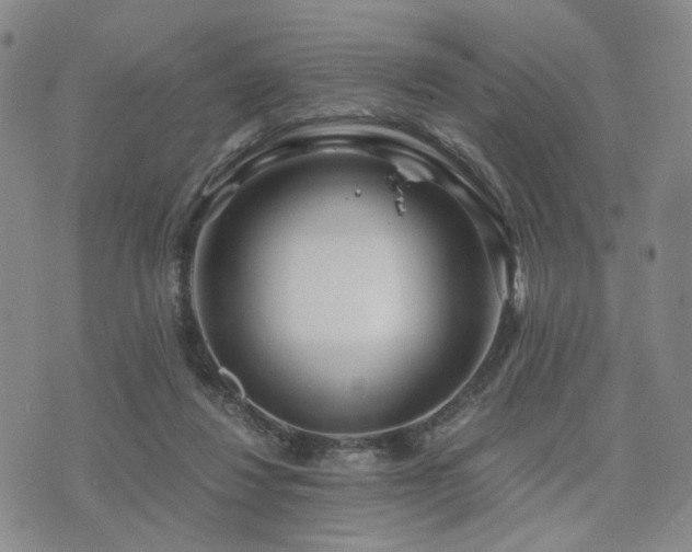 X0000073700260200608031222