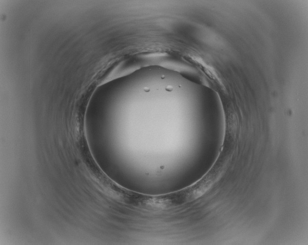 X0000073700261200608031222