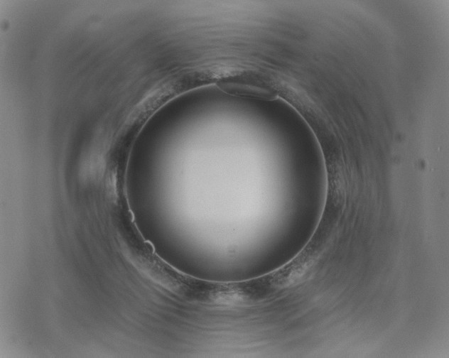 X0000073700262200608031222