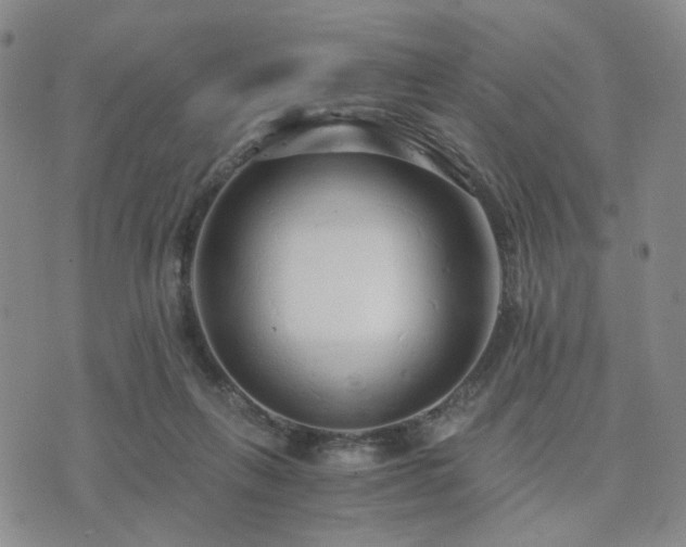 X0000073700263200608031222