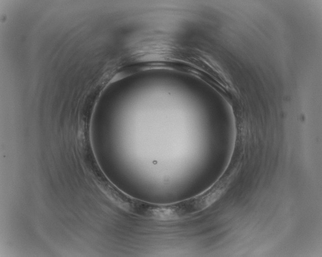 X0000073700265200608031222