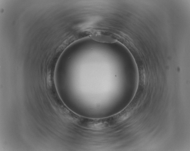 X0000073700267200608031222