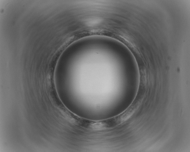 X0000073700269200608031222