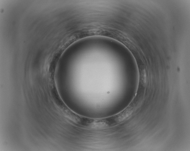 X0000073700270200608031222