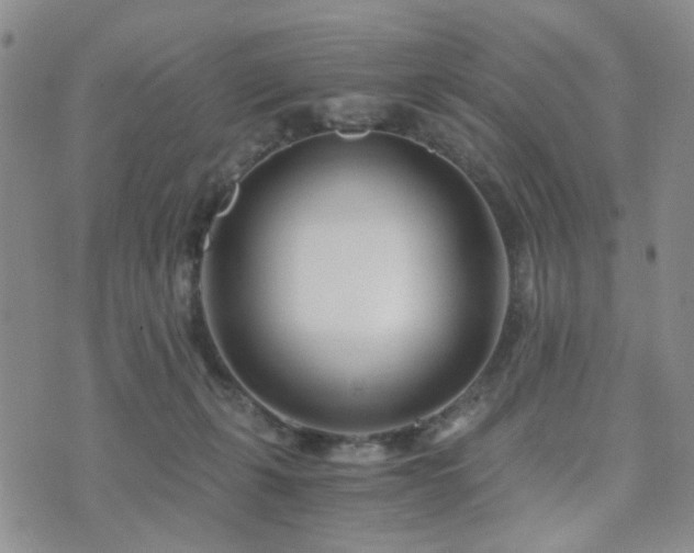 X0000073700271200608031222