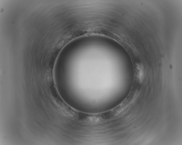 X0000073700272200608031222