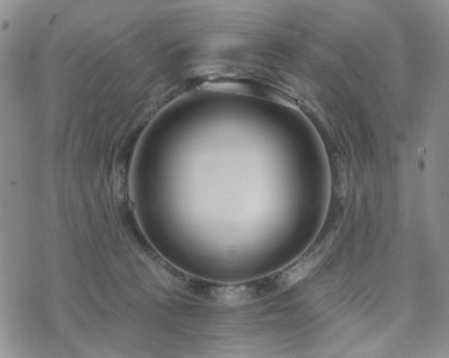 X0000073700273200608031222