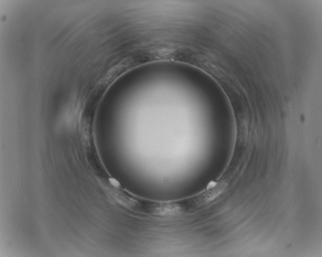 X0000073700274200608031222