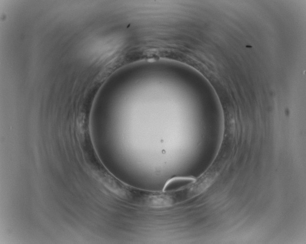 X0000073700275200608031222