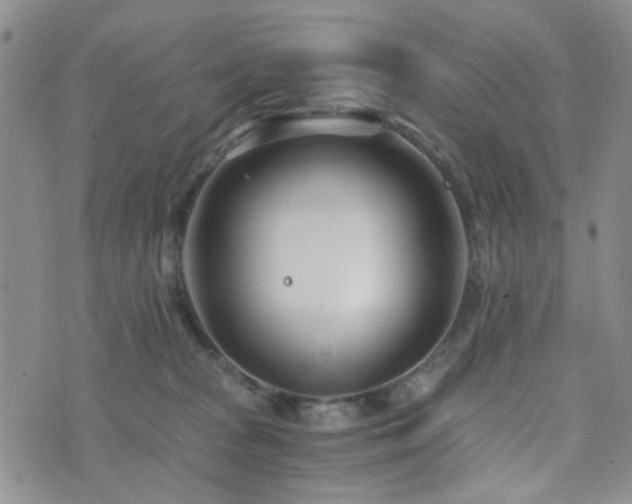 X0000073700277200608031222