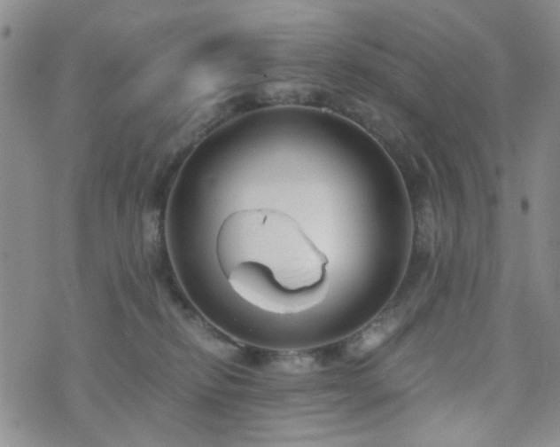 X0000073700278200608031222