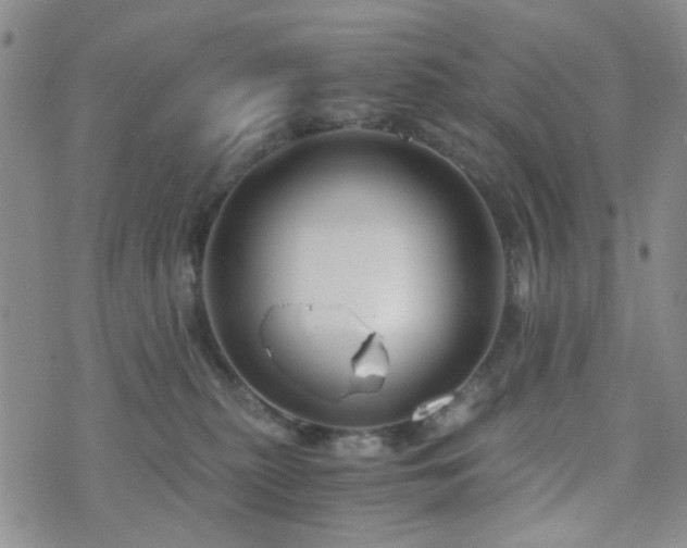 X0000073700279200608031222