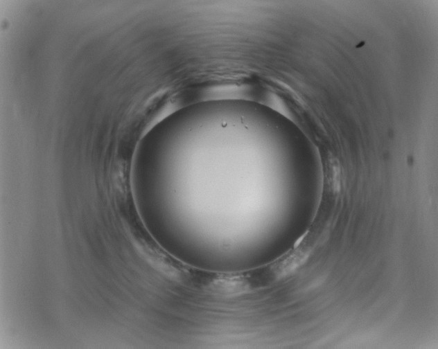 X0000073700280200608031222