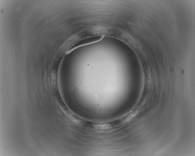 X0000073700281200608031222