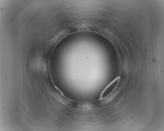 X0000073700282200608031222