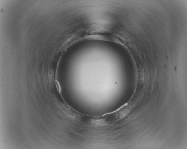 X0000073700283200608031222