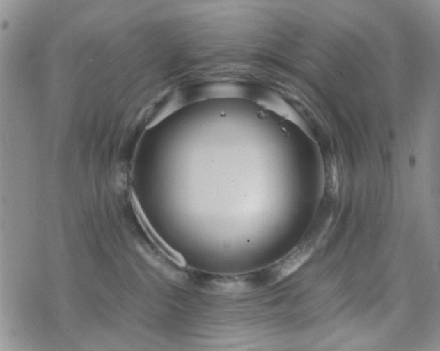 X0000073700284200608031222