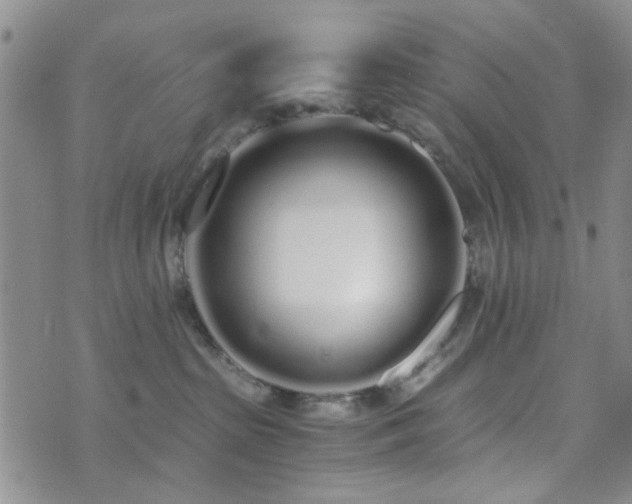 X0000073700285200608031222