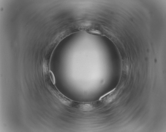 X0000073700287200608031222