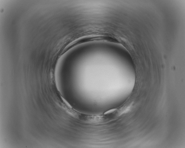 X0000073700288200608031222