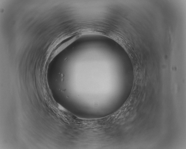 X0000073700289200608031221