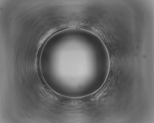 X0000073700292200608031221