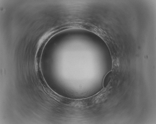 X0000073700294200608031221