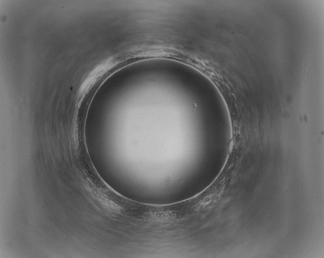 X0000073700296200608031221