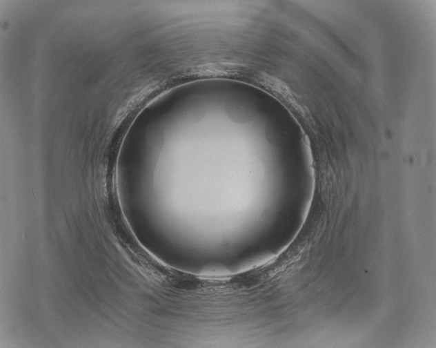 X0000073700299200608031221