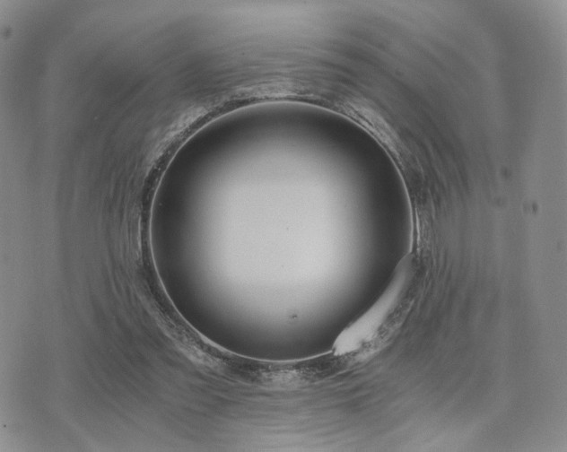 X0000073700301200608031221