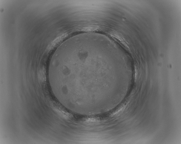 X0000073700303200608031221