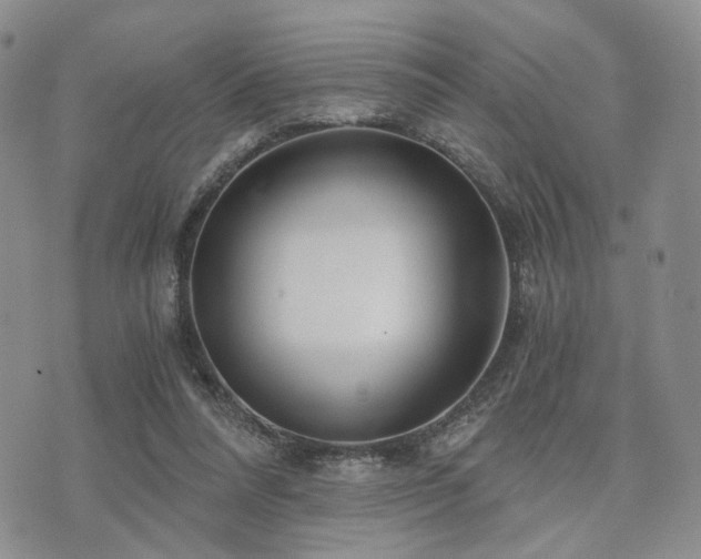 X0000073700304200608031221