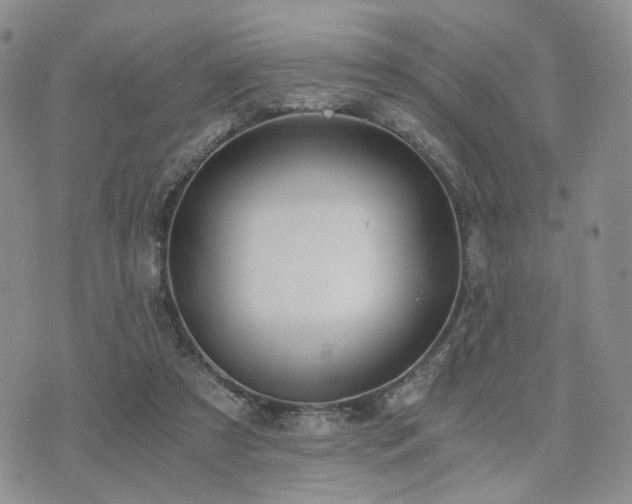 X0000073700305200608031221