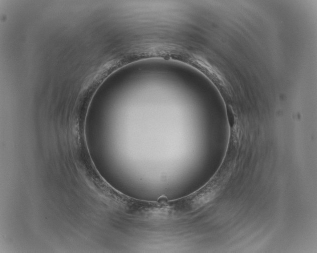 X0000073700306200608031221