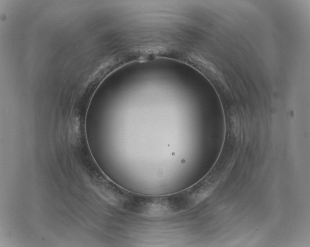 X0000073700308200608031221