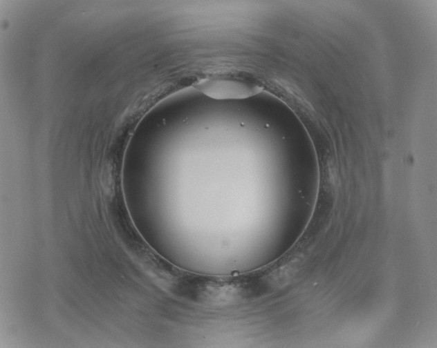 X0000073700311200608031221