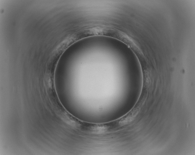 X0000073700313200608031221