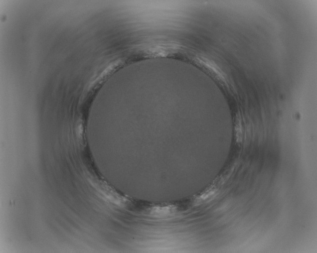 X0000073700314200608031221