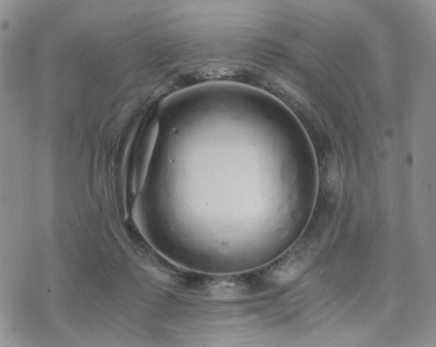 X0000073700315200608031221