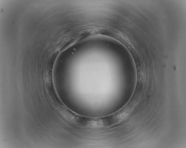 X0000073700317200608031221