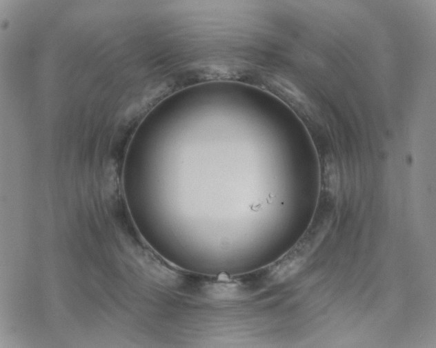 X0000073700318200608031221