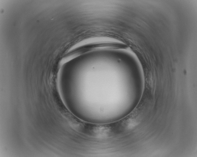 X0000073700319200608031221