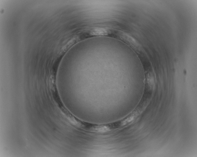 X0000073700322200608031221