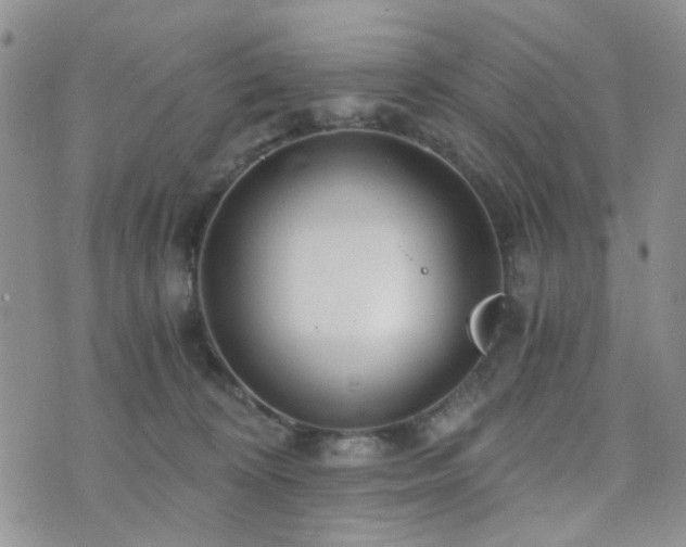 X0000073700324200608031221