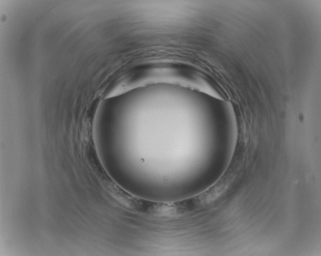 X0000073700325200608031221