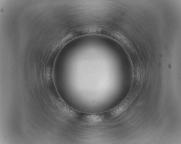 X0000073700326200608031221