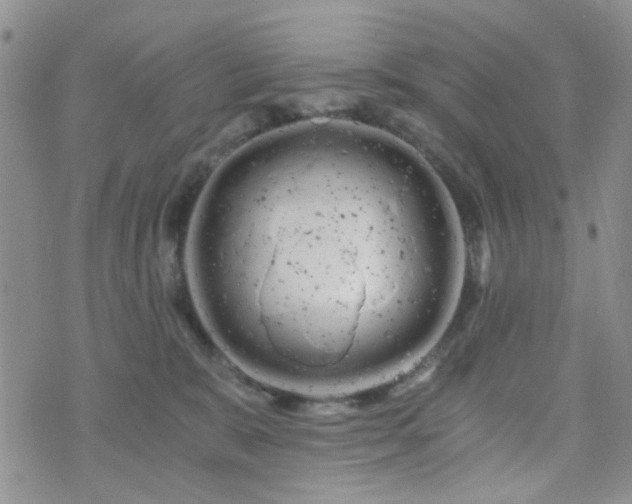 X0000073700327200608031221