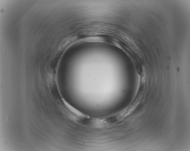 X0000073700333200608031221